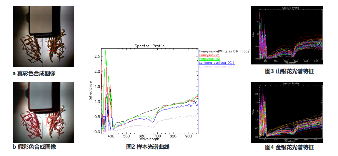 实验室高光谱成像仪